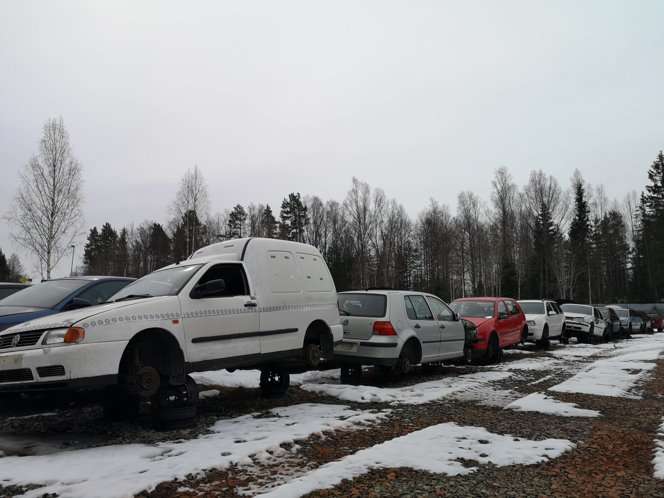 IMG_20220413_105831 IMG_20220413_105831